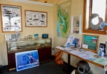 Inside whale center, Langley